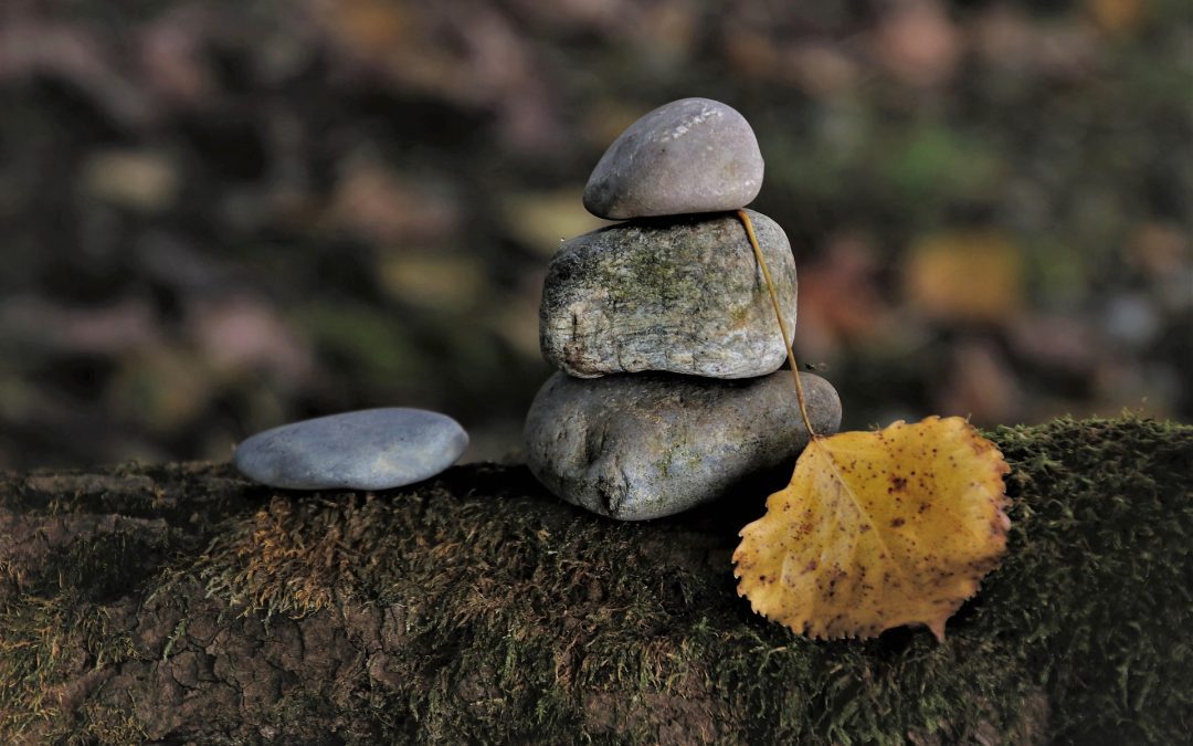 Muoversi in autunno: perché ottobre è il mese perfetto per ricominciare