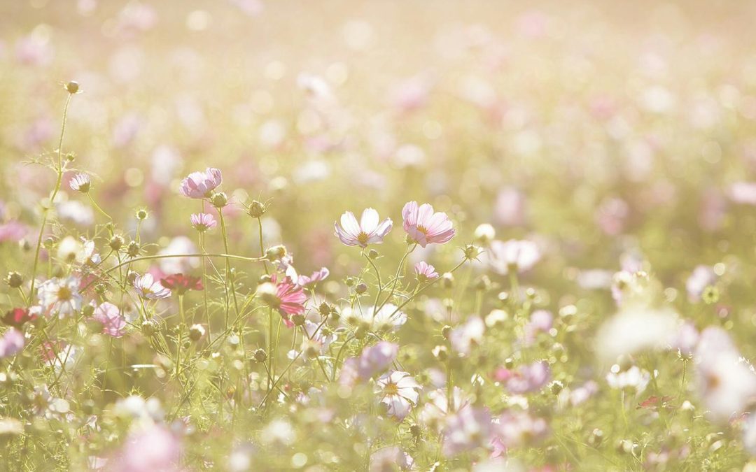 Marzo: la soglia del movimento